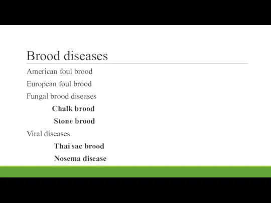 Brood diseases American foul brood European foul brood Fungal brood diseases