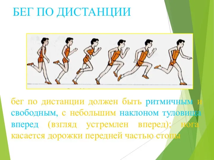 БЕГ ПО ДИСТАНЦИИ бег по дистанции должен быть ритмичным и свободным,