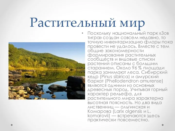 Растительный мир Поскольку национальный парк «Зов тигра» создан совсем недавно, то