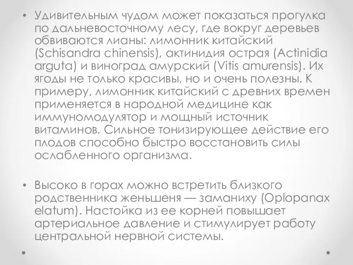 Удивительным чудом может показаться прогулка по дальневосточному лесу, где вокруг деревьев