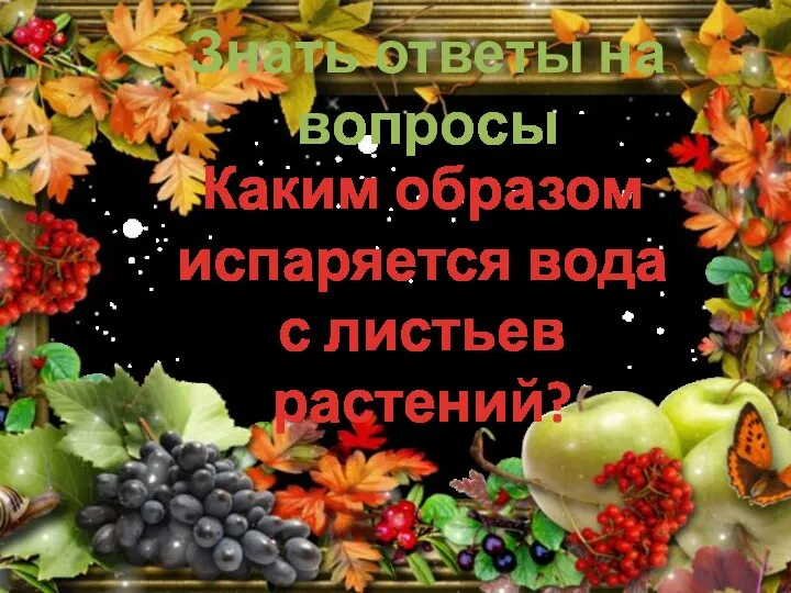 Знать ответы на вопросы Каким образом испаряется вода с листьев растений?