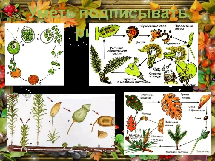 Уметь подписывать рисунок