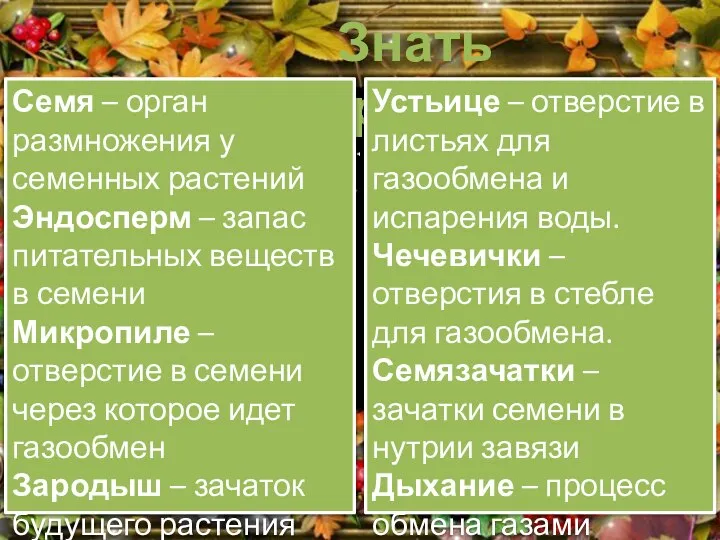 Знать термины Семя – орган размножения у семенных растений Эндосперм –