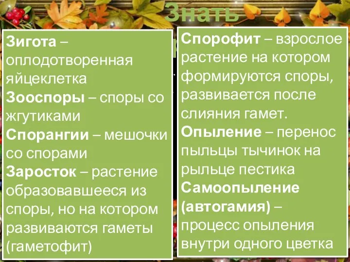 Знать термины Зигота – оплодотворенная яйцеклетка Зооспоры – споры со жгутиками