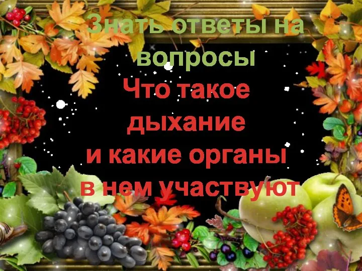 Знать ответы на вопросы Что такое дыхание и какие органы в нем участвуют