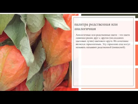 палитра родственная или аналогичная Аналогичные или родственные цвета – это цвета