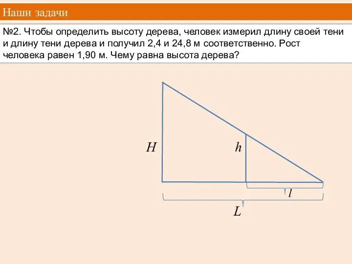 Наши задачи №2. Чтобы определить высоту дерева, человек измерил длину своей