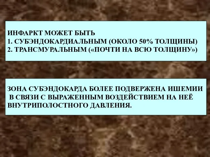 ЗОНА СУБЭНДОКАРДА БОЛЕЕ ПОДВЕРЖЕНА ИШЕМИИ В СВЯЗИ С ВЫРАЖЕННЫМ ВОЗДЕЙСТВИЕМ НА