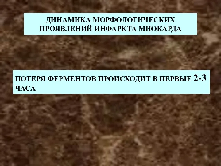 ДИНАМИКА МОРФОЛОГИЧЕСКИХ ПРОЯВЛЕНИЙ ИНФАРКТА МИОКАРДА ПОТЕРЯ ФЕРМЕНТОВ ПРОИСХОДИТ В ПЕРВЫЕ 2-3 ЧАСА