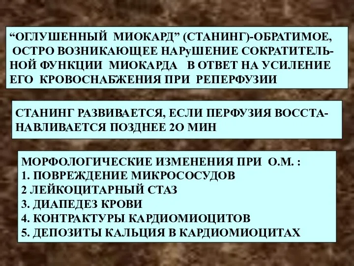 “ОГЛУШЕННЫЙ МИОКАРД” (СТАНИНГ)-ОБРАТИМОЕ ОСТРО ВОЗНИКАЮЩЕЕ НАРШЕНИЕ СОКРАТИТЕЛЬ- НОЙ ФУНКЦИИ МИОКАРДА В