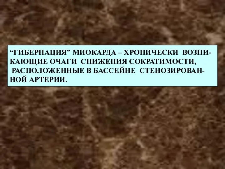 “ГИБЕРНАЦИЯ” МИОКАРДА – ХРОНИЧЕСКИ ВОЗНИ- КАЮЩИЕ ОЧАГИ СНИЖЕНИЯ СОКРАТИМОСТИ, РАСПОЛОЖЕННЫЕ В БАССЕЙНЕ СТЕНОЗИРОВАН- НОЙ АРТЕРИИ.