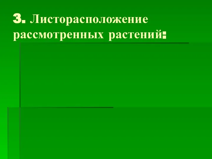 3. Листорасположение рассмотренных растений: