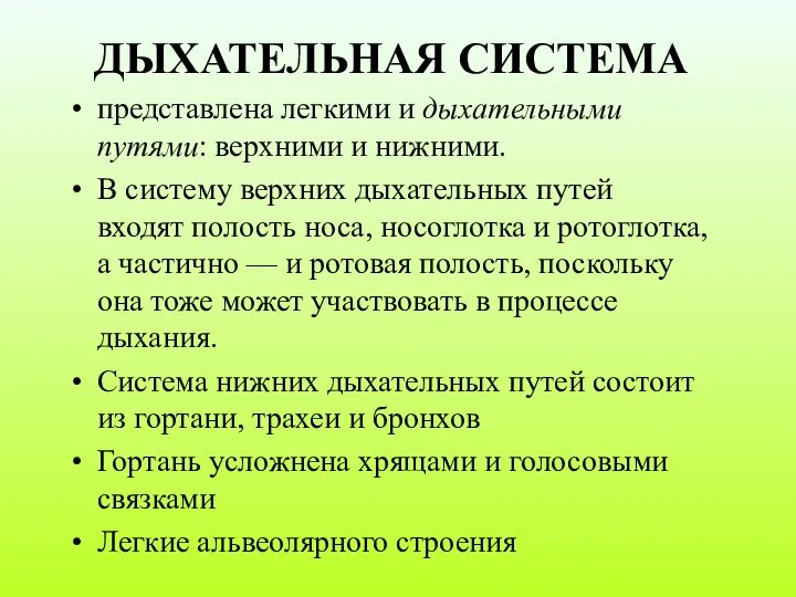 ДЫХАТЕЛЬНАЯ СИСТЕМА представлена легкими и дыхательными путями: верхними и нижними. В