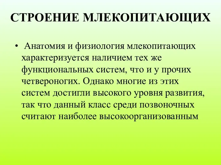 СТРОЕНИЕ МЛЕКОПИТАЮЩИХ Анатомия и физиология млекопитающих характеризуется наличием тех же функциональных