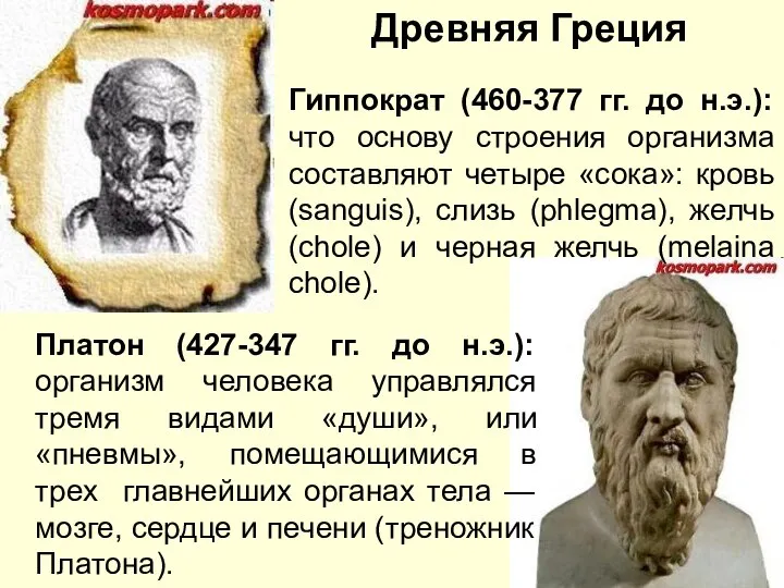 Гиппократ (460-377 гг. до н.э.): что основу строения организма составляют четыре