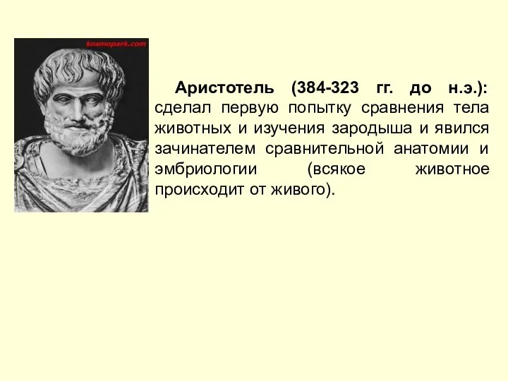 Аристотель (384-323 гг. до н.э.): сделал первую попытку сравнения тела животных