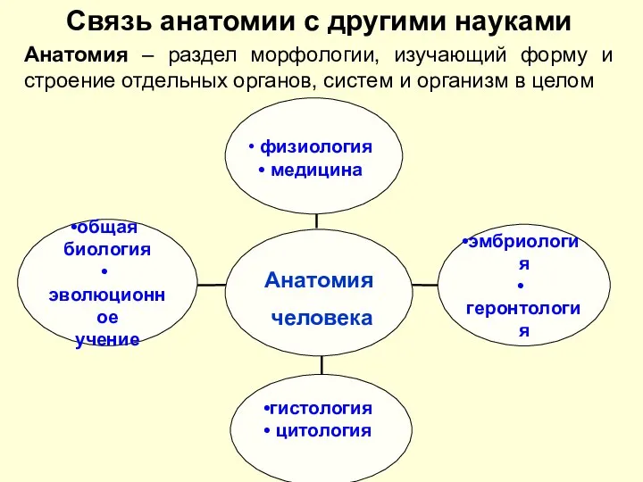 Связь анатомии с другими науками Анатомия – раздел морфологии, изучающий форму