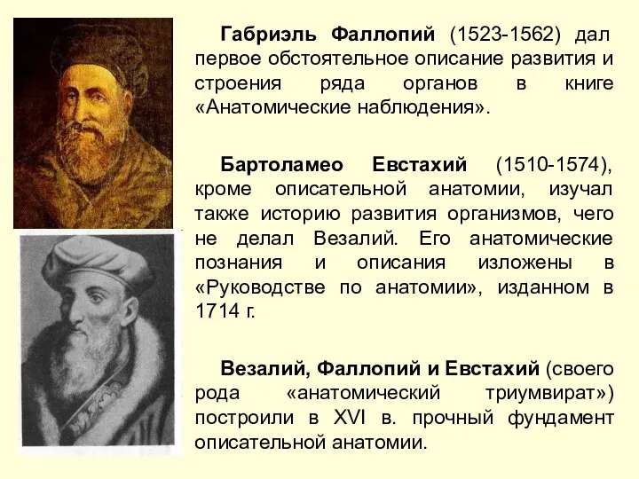 Габриэль Фаллопий (1523-1562) дал первое обстоятельное описание развития и строения ряда