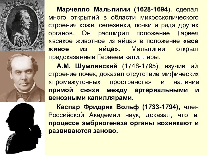 Марчелло Мальпигии (1628-1694), сделал много открытий в области микроскопического строения кожи,