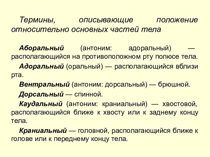 Термины, описывающие положение относительно основных частей тела Аборальный (антоним: адоральный) —