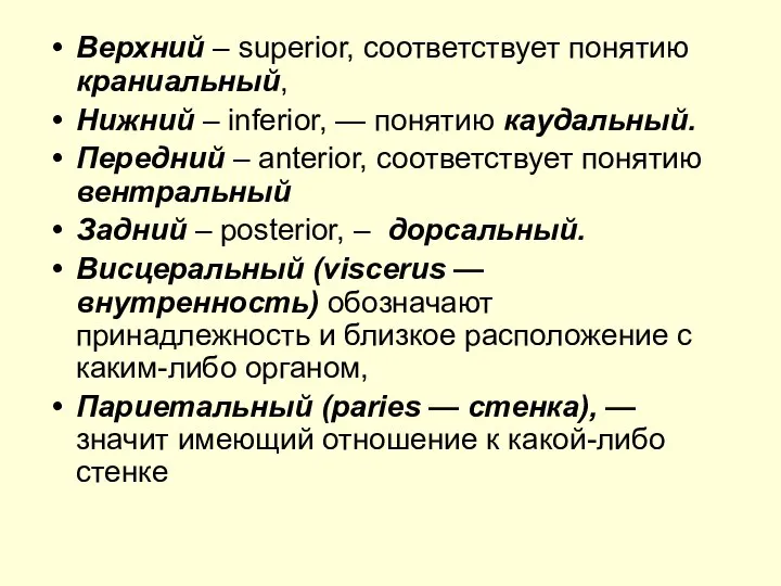 Верхний – superior, соответствует понятию краниальный, Нижний – inferior, — понятию