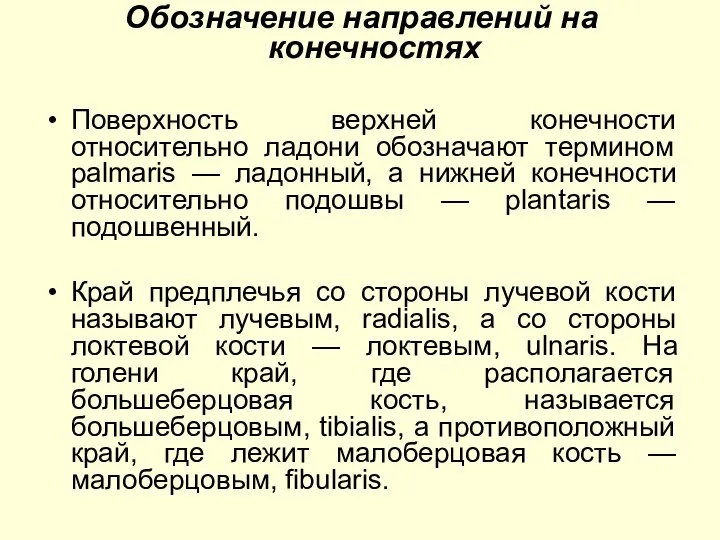 Обозначение направлений на конечностях Поверхность верхней конечности относительно ладони обозначают термином