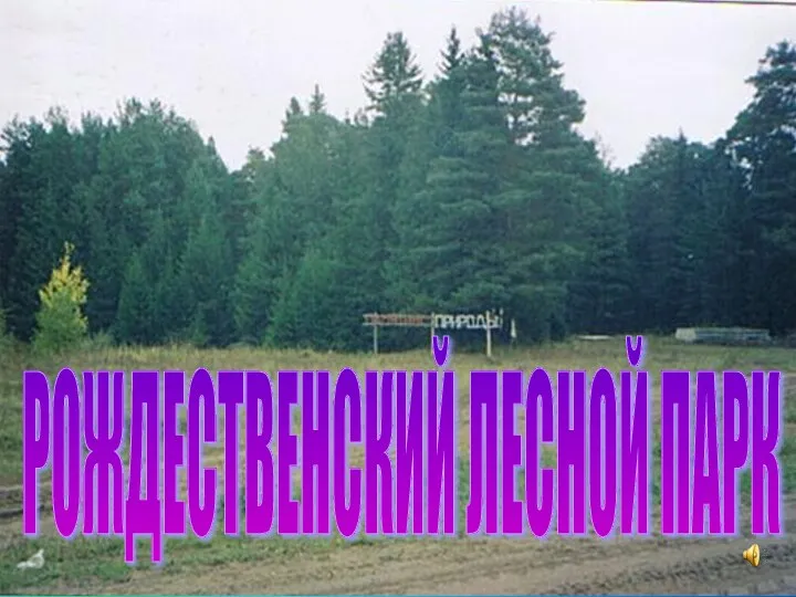 РОЖДЕСТВЕНСКИЙ ЛЕСНОЙ ПАРК