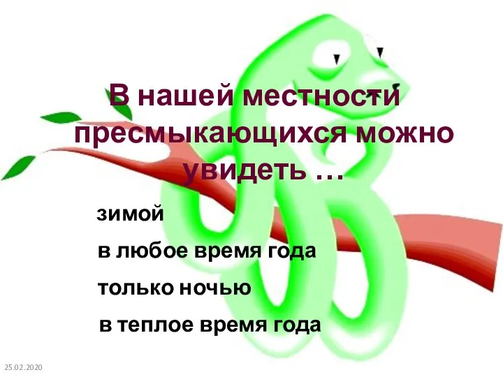 25.02.2020 В нашей местности пресмыкающихся можно увидеть … зимой в любое