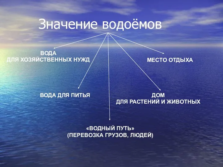 Значение водоёмов ДОМ ДЛЯ РАСТЕНИЙ И ЖИВОТНЫХ МЕСТО ОТДЫХА ВОДА ДЛЯ