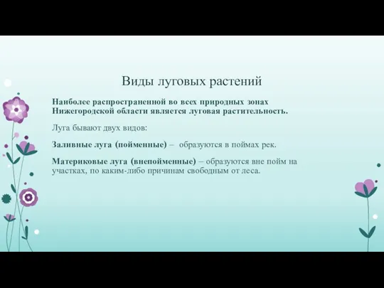 Виды луговых растений Наиболее распространенной во всех природных зонах Нижегородской области