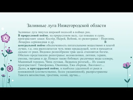 Заливные луга Нижегородской области Заливные луга тянутся широкой полосой в поймах