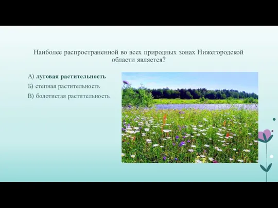 Наиболее распространенной во всех природных зонах Нижегородской области является? А) луговая