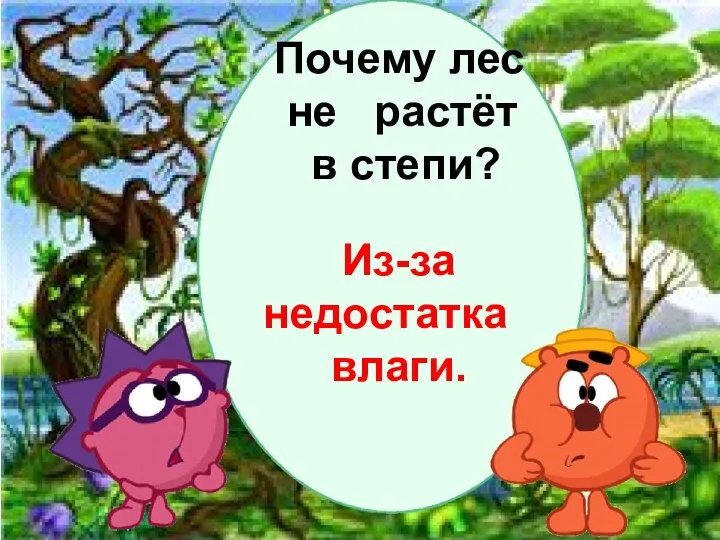 Почему лес не растёт в степи? Из-за недостатка влаги.