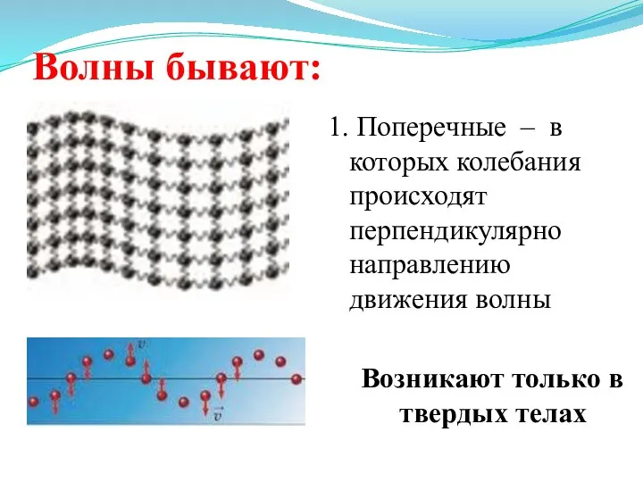 Волны бывают: 1. Поперечные – в которых колебания происходят перпендикулярно направлению