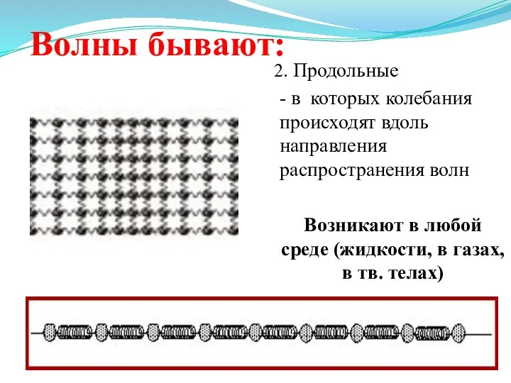 Волны бывают: 2. Продольные - в которых колебания происходят вдоль направления