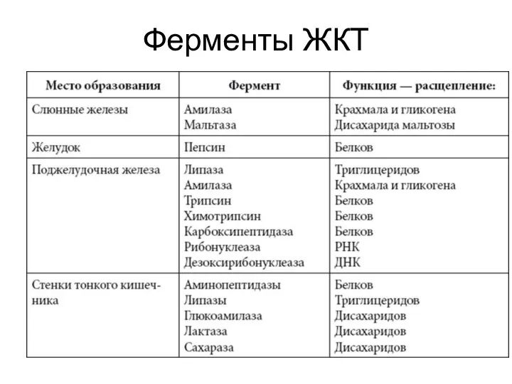 Ферменты ЖКТ