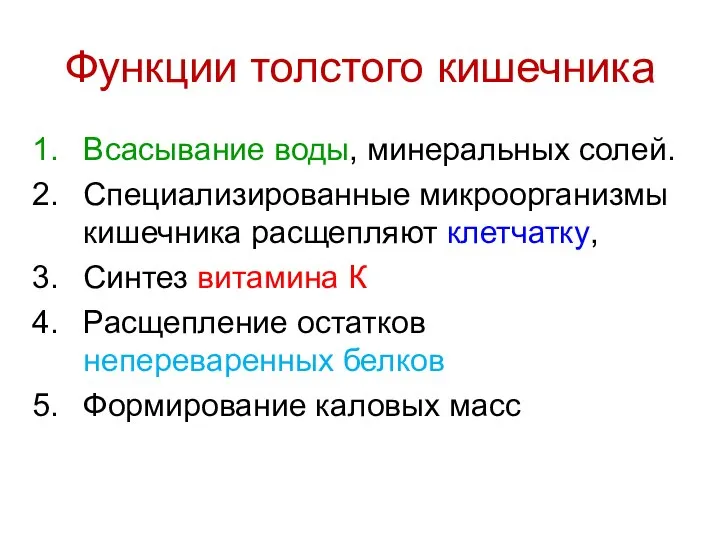 Функции толстого кишечника Всасывание воды, минеральных солей. Специализированные микроорганизмы кишечника расщепляют