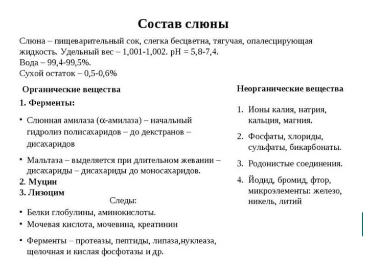 Состав слюны Слюна Вода (99,4-99,5%) Сухой остаток (0,5-0,6%) Неорганические в-ва Органические