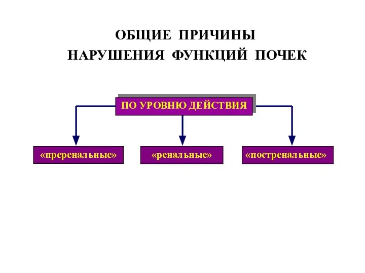 ОБЩИЕ ПРИЧИНЫ НАРУШЕНИЯ ФУНКЦИЙ ПОЧЕК ПО УРОВНЮ ДЕЙСТВИЯ