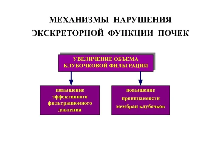 МЕХАНИЗМЫ НАРУШЕНИЯ ЭКСКРЕТОРНОЙ ФУНКЦИИ ПОЧЕК УВЕЛИЧЕНИЕ ОБЪЕМА КЛУБОЧКОВОЙ ФИЛЬТРАЦИИ