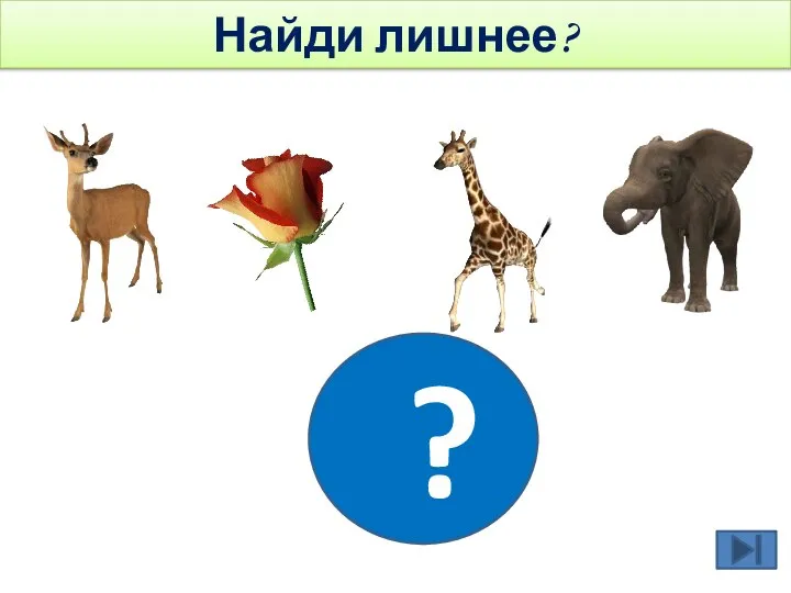 ? Найди лишнее?