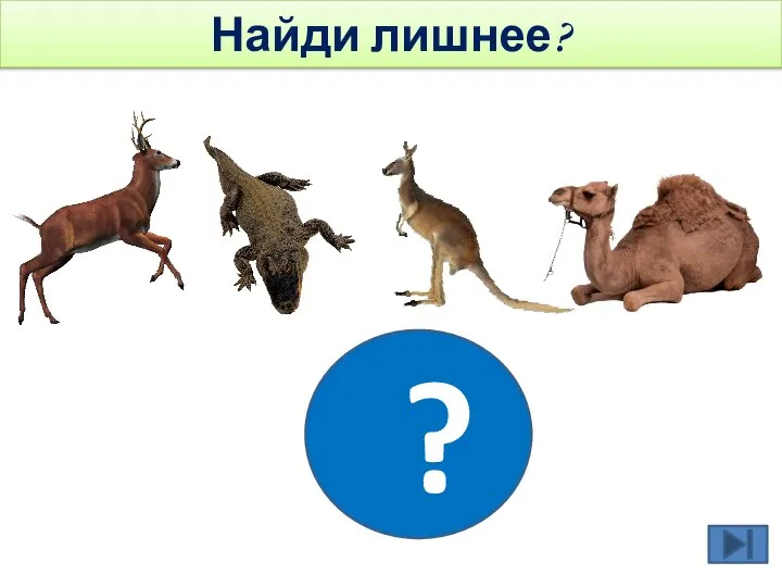 ? Найди лишнее?