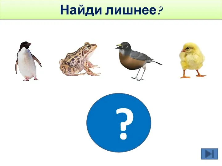 ? Найди лишнее?