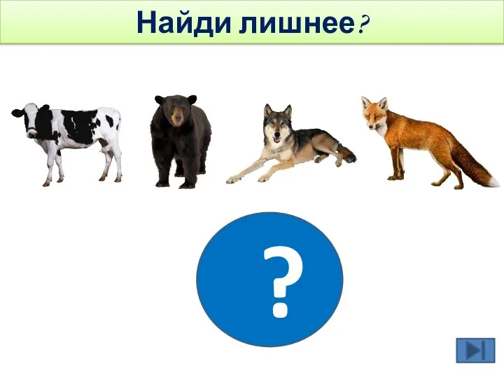 ? Найди лишнее?