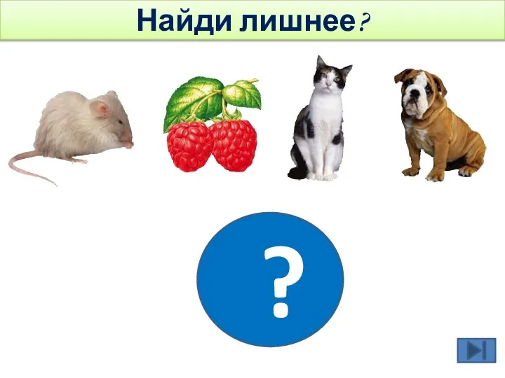 ? Найди лишнее?