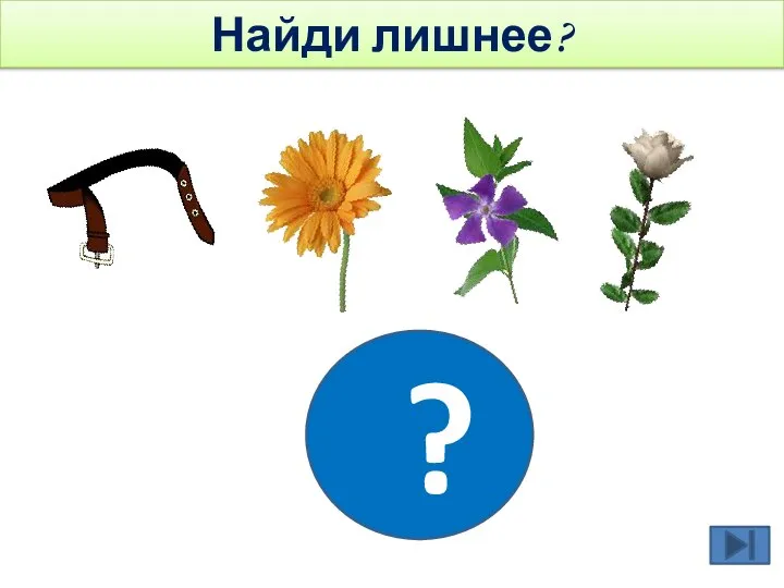 ? Найди лишнее?