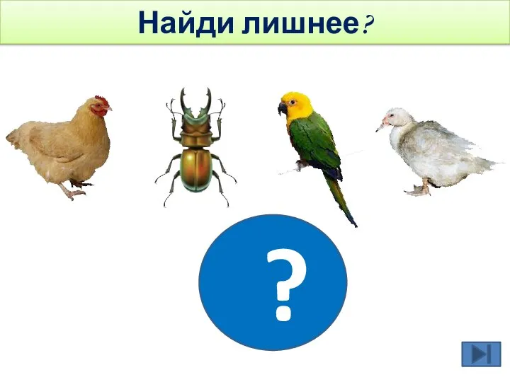 ? Найди лишнее?