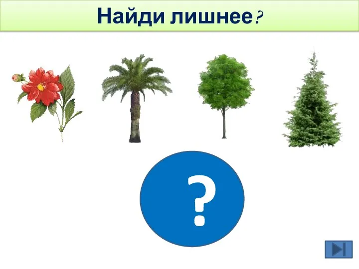 ? Найди лишнее?