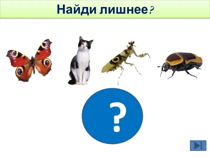 ? Найди лишнее?