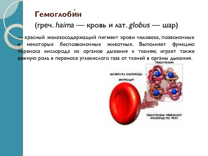 Гемоглоби́н (греч. haima — кровь и лат. globus — шар) —